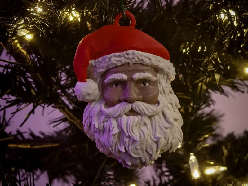 Santa Claus Ornament and Magnet Holiday Set