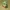 Fat Yoshi - MEME