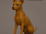 Pinscher-0