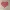Filigree heart in love