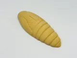 Silkworm Pupa-3