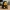 Rubber Duck - Severus Snape - Harry Potter - 3D print