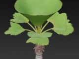 Tropische palme-0
