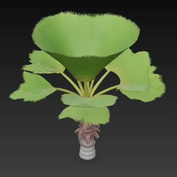 Tropische palme