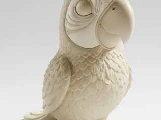 Arara cartoon