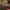 PRINT IN PLACE CUTE FLEXI PUMA