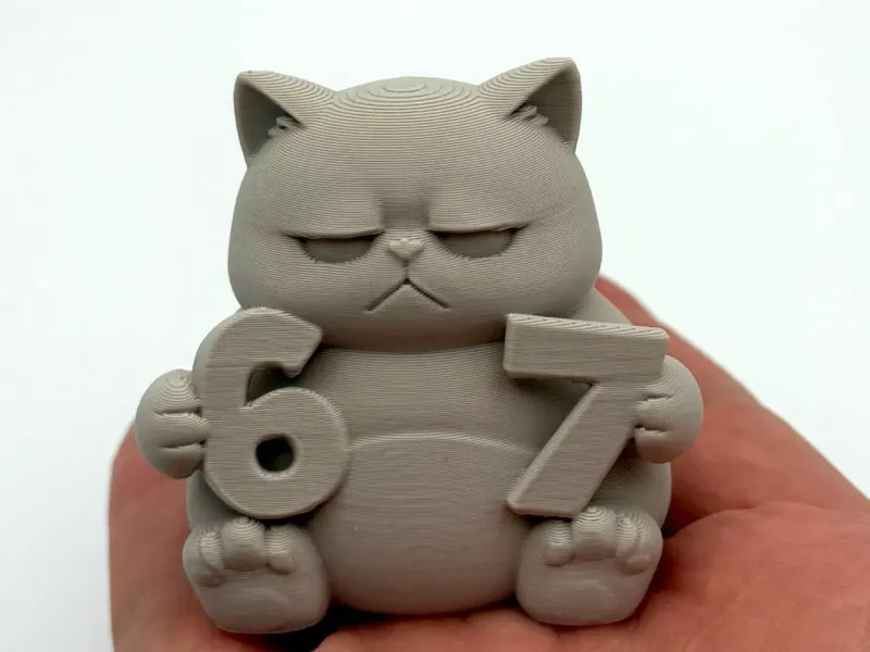 Grumpy 6-7 Kitten