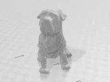 Chinese Shar-pei Antique 3D Scan-0