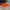 Small Traffic Cone