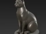 Cat-2