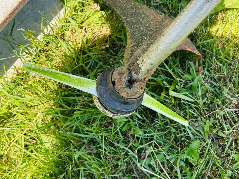 lame de coupe bordure STIHL