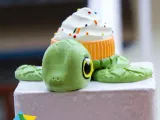 FLEXY CUPCAKE TURTLE-4