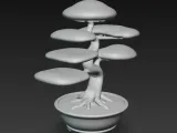 Bonsai Baum-1