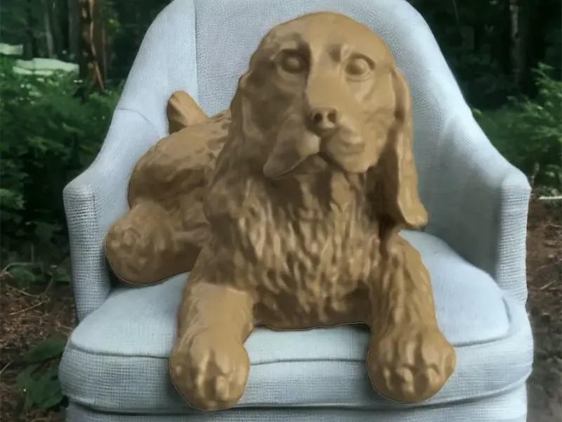 Hund Englischer Cocker Spaniel