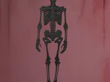 Skeleton Wall Art-0