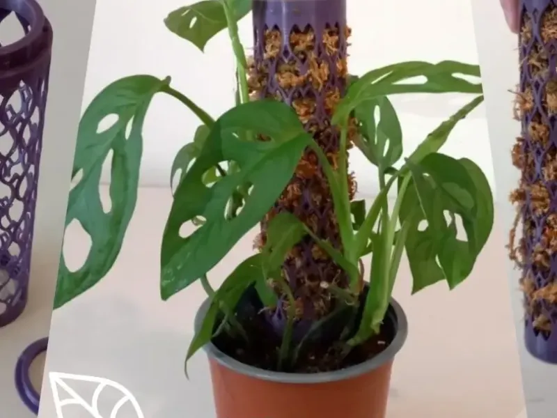 Leaf moss pole