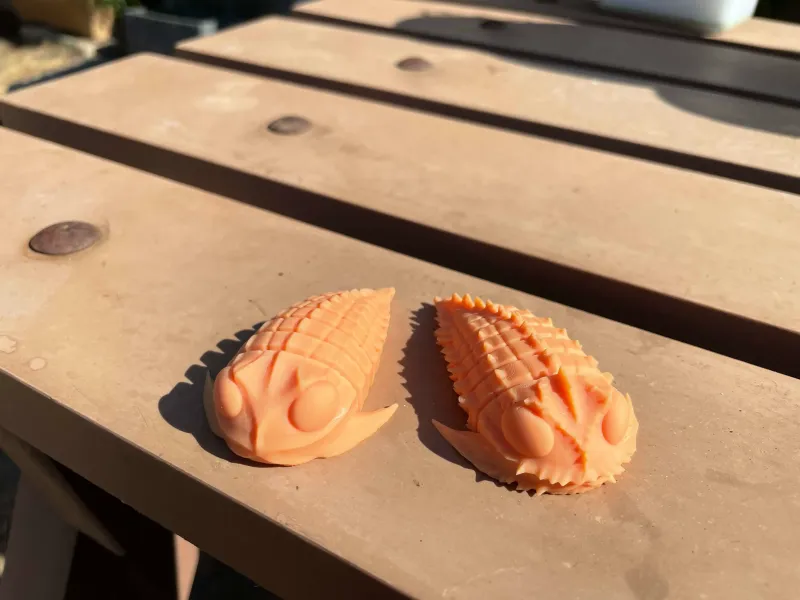 Trilobites articulados x 2