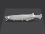 Custom Madeka Bait-3