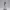 Teal Energy – Ecchi Figurine