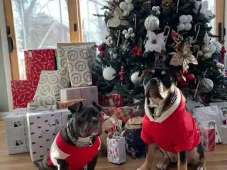 Tuco