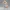 Figura Esportiva da Lola Bunny