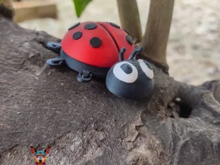 Ladybug
