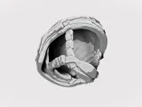 Ops Core FAST Helmet #RoZ-6
