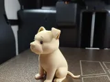 Cute Pitbull Puppy-3