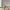 🐒 Hello Kitty Monkey Costume Figurine 🍌