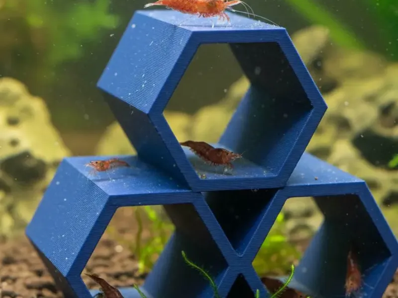 Shrimps Aquarium hiding Space