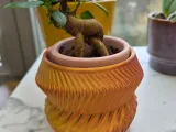 Cache-Pot 80-73-2