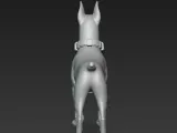 Alpha-3