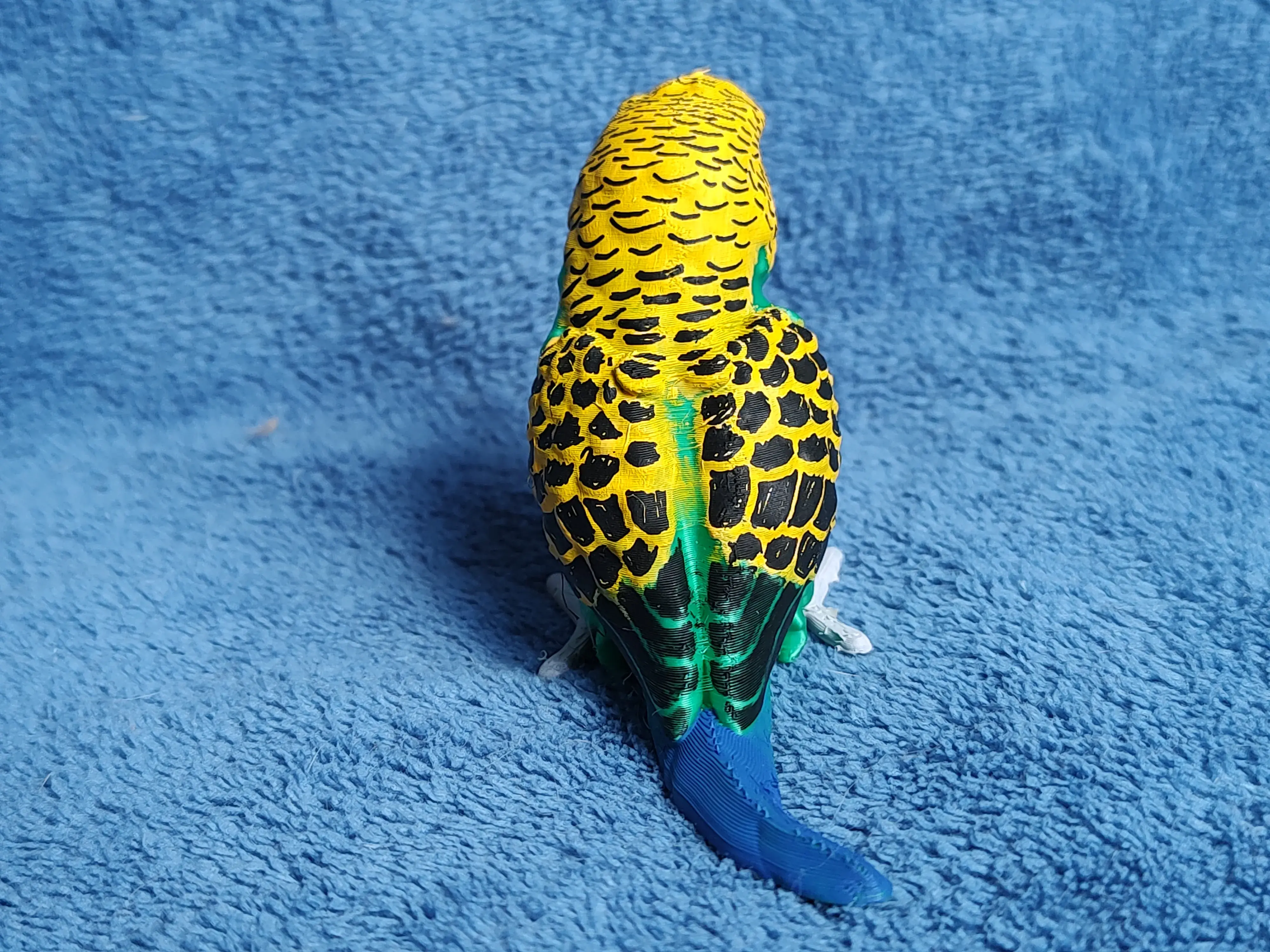 Budgie | 3D models download | Creality Cloud