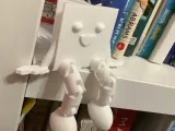 Cute flex open book-0