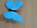 Butterfly magnet-5