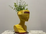 BOT PLANTER-2