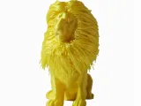 Leão peludo-5