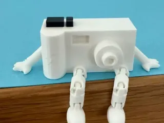 Articulated Camera