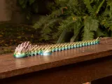 SEA SNAKE-5