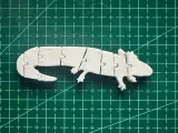 Flexi Axolotl-0
