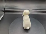 Lapin bélier-1