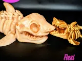 Flexi Skeleton Shark-2