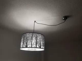 Lamp offset bracket