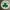 Boston Celtics Snap fit Logo