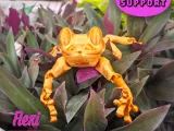 Cute Flexi Print-in-Place Frog-6