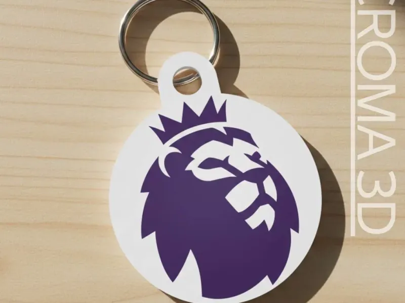 Premier League keychain - multicolor