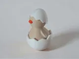 Hatched Chicken-6