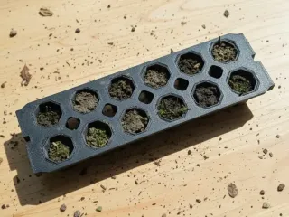 Modular Cilantro Seed Sprout Tray