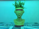 BOT PLANTER-8