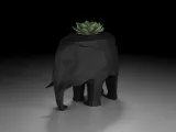 Elephant-8